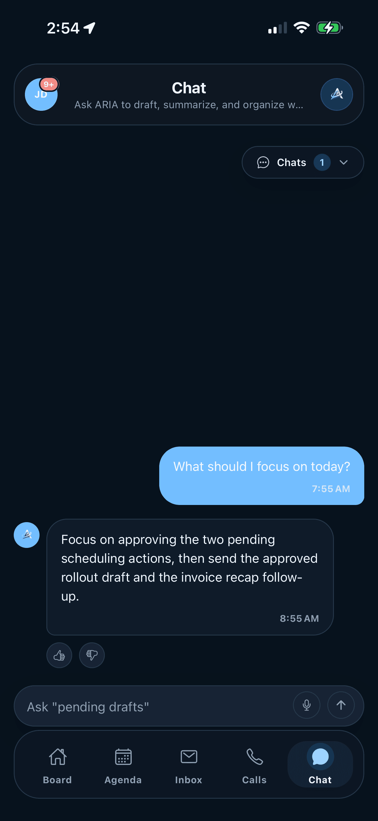 ARIA Chat screen on iPhone